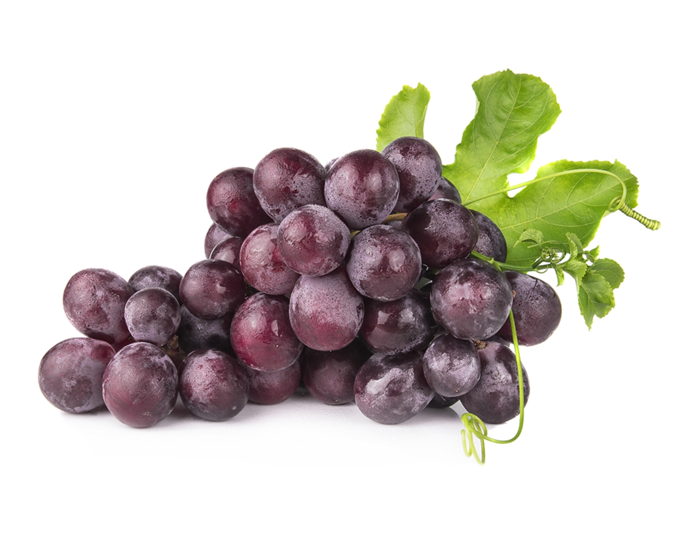 Diez cosas que debes saber del vino y pisco de Tacna y Perú