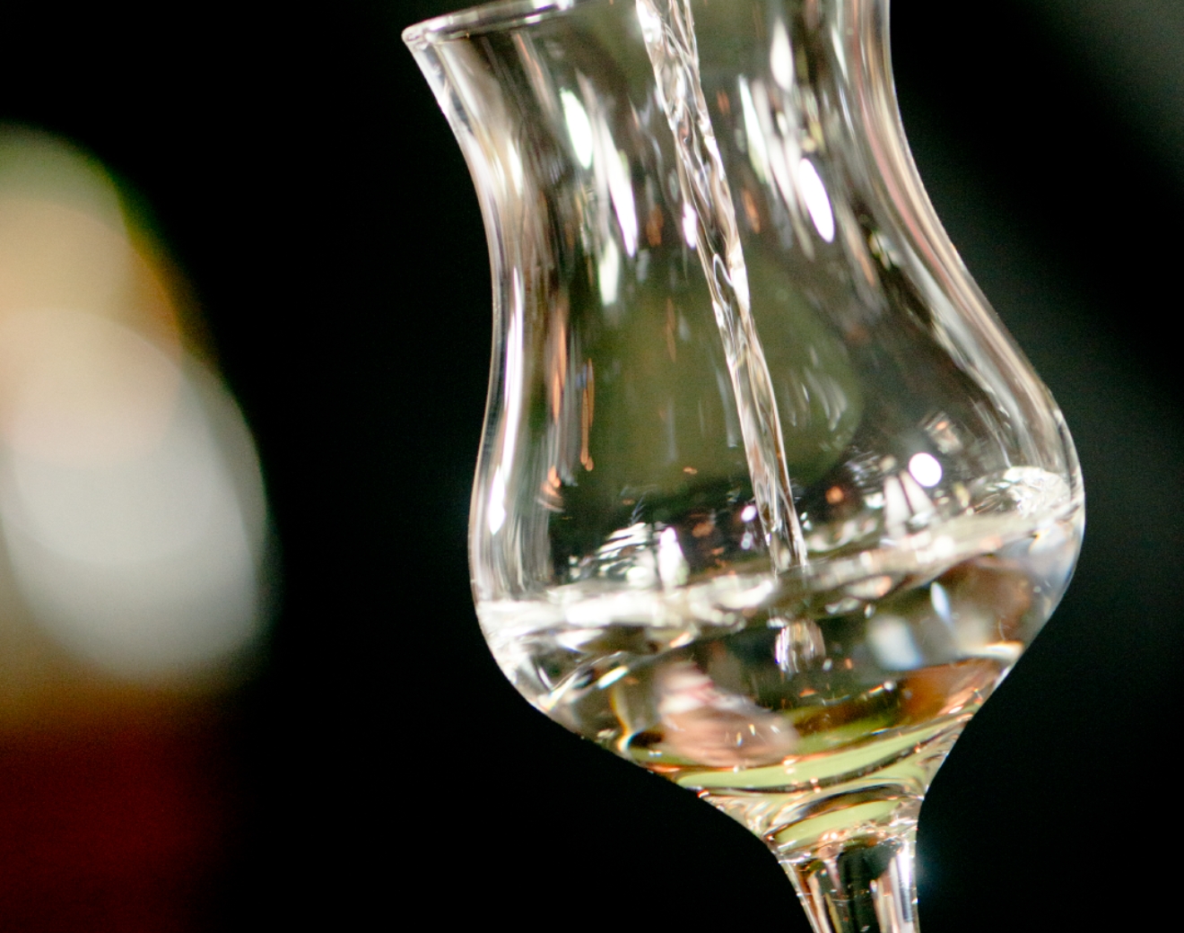 Diez cosas que debes saber del vino y pisco de Tacna y Perú