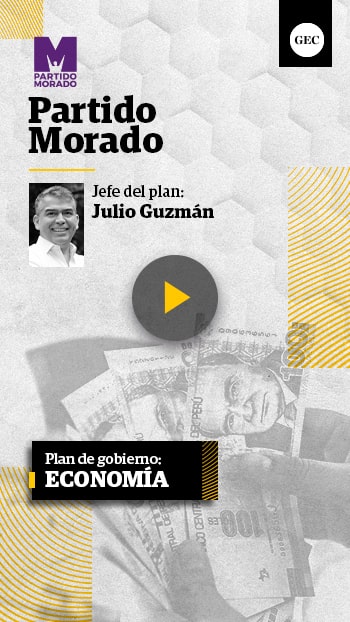 Plan de economía Partido Morado