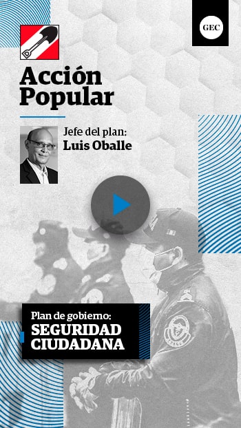 Plan de seguridad ciudadana Acción Popular